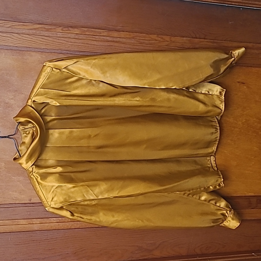 Woman's dress blouse